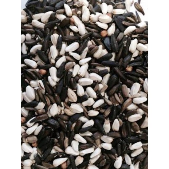 1252B_germinabile_cardellini_Major-800x800