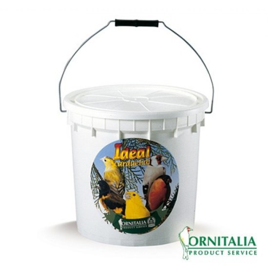 1505-ideal_carduelidi-800x800