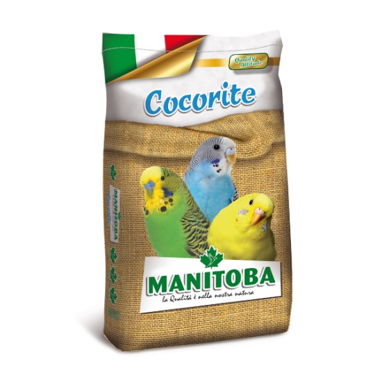 6020