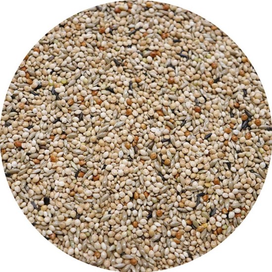 ESOTICI-TROPICALS-1000-1000-800x800