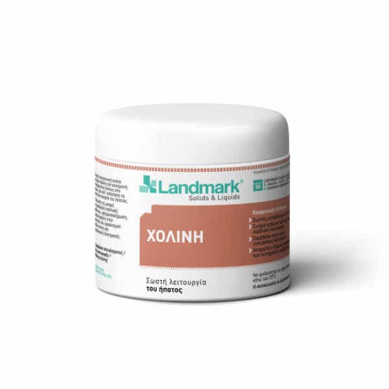 Landmark_Xolini6