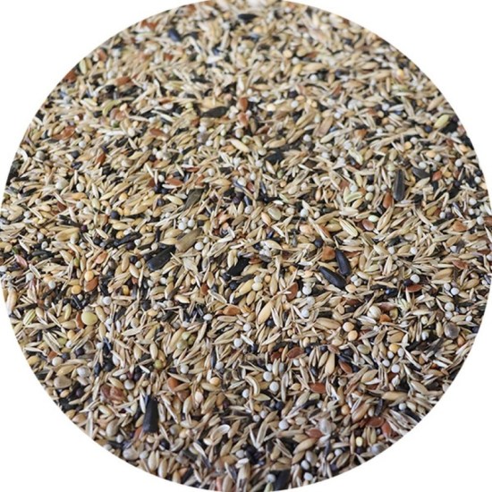 miscela-greg-seeds1250-1000x1000-800x800